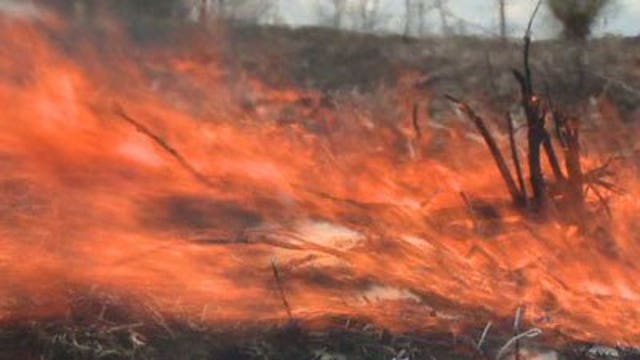 Walker in NW Wis. for wildfire-suppression plans