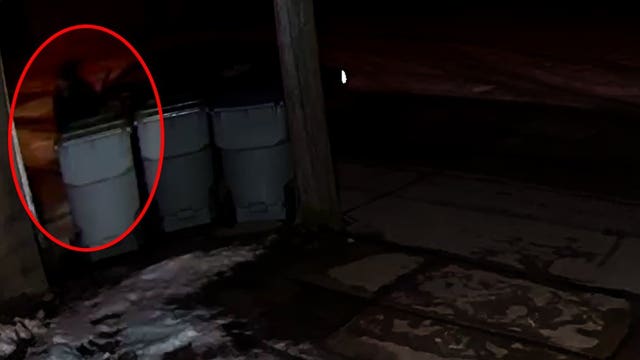 MPD seeks help to ID person suspected of several burglaries on city's south side