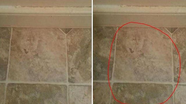 Man sees Donald Trump in his bathroom floor tile: "Clear as day!"