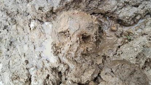 "Quite a mystery:" Possible human remains found on construction site in Wauwatosa