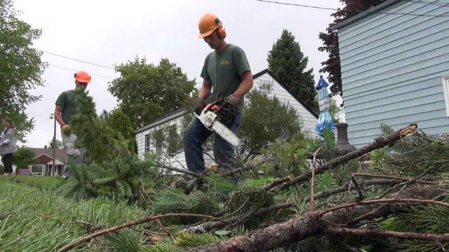 They came, they "sawed," they conquered: Tree trimmers crazy busy cleaning up from this week's storms