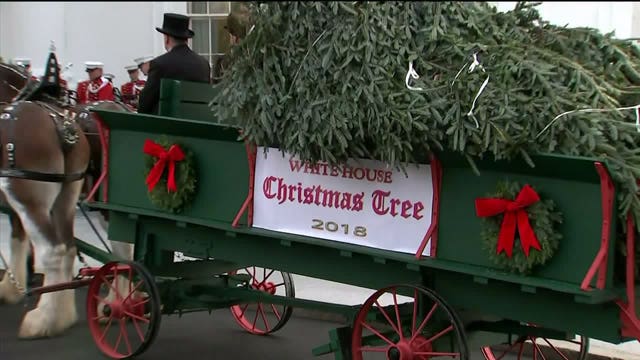 President Trump, first lady accept official White House Christmas tree
