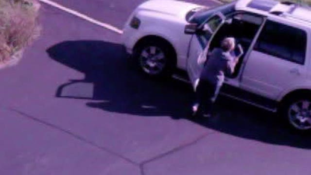 Trail cam captures woman stealing man's Trump campaign signs: "Politics aside, it's theft"