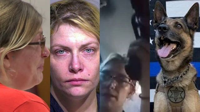 'I’ve been through a lot:' Kalin Sunde gets 5 years in prison after I-94 standoff, stabbing of K-9