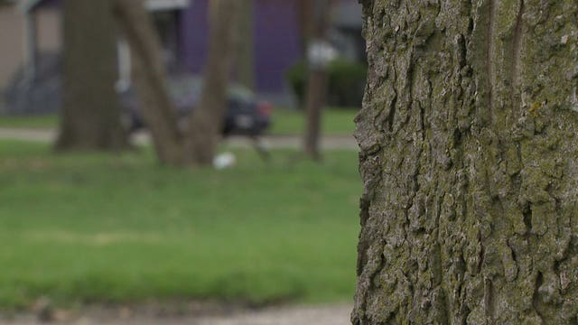 Milwaukee mom abducted near 51st and Capitol, sexually assaulted in broad daylight