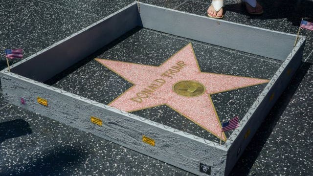 Tiny wall erected around Donald Trump's Hollywood Walk of Fame star