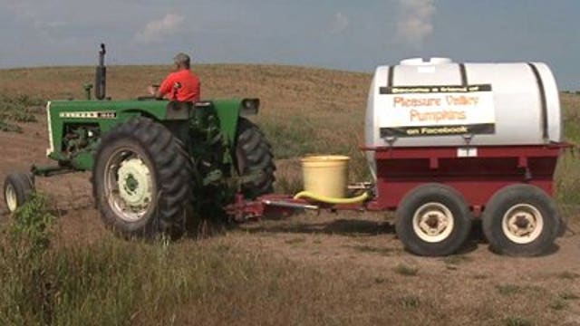 Pumpkin farmer battling against Mother Nature to save crop