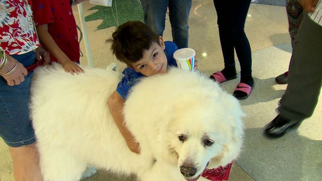 Wisconsin State Fair 'brings some joy' to patients at Children's Hospital