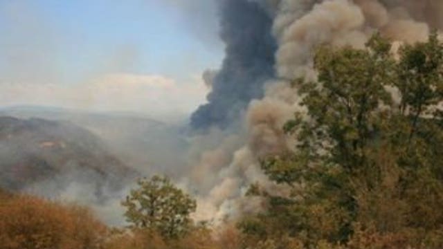 California's Rim Fire caused by hunter, U.S. Forest Service says