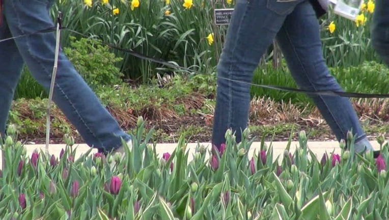 Boerner Botanical Gardens