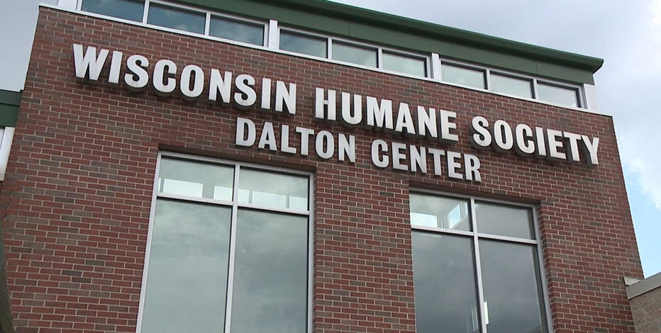 Humane Society welcoming rescue dogs from Texas