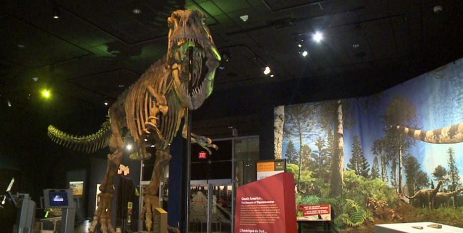 その他 Dinosaur Hunters: Eccentric Amateurs and Obsessed Professionals World's weirdest dinosaur had a spike collar and secret tail