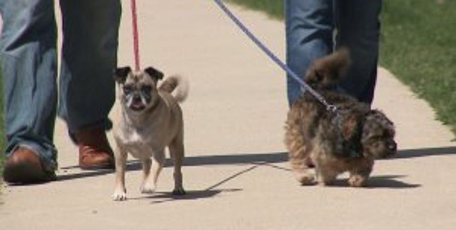 Dangerous Dog Bone Concerned Pet Owners Warning About Real Ham Bone