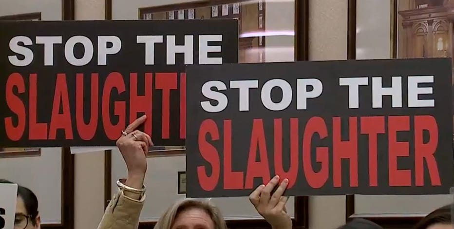Alderman changes position on proposed slaughterhouse in Century City after hearing from neighbors