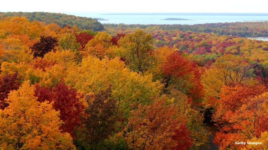 10-16-19 Fall 5