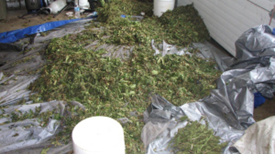 14 Drying Marijuana