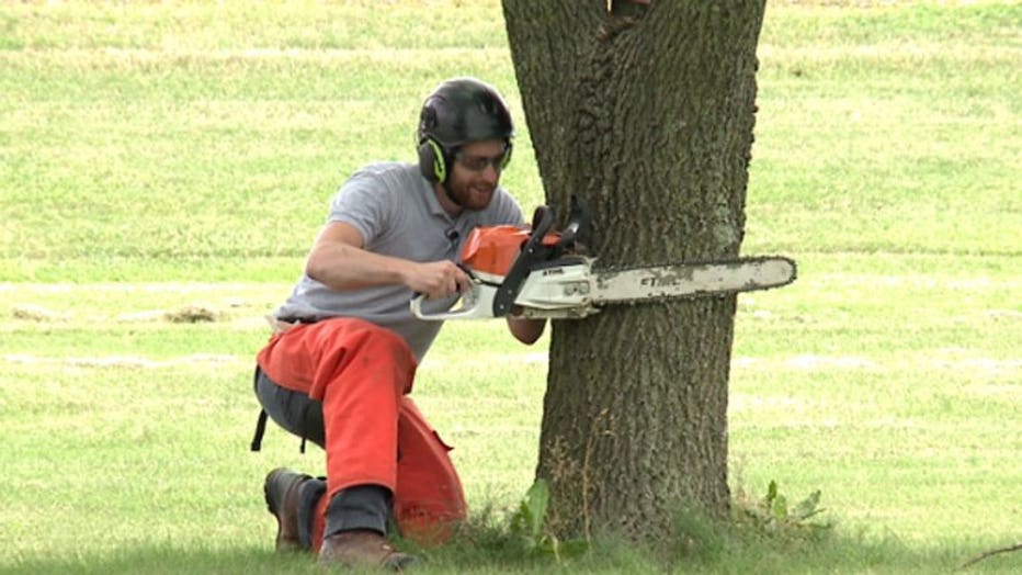 Arborist pre-apprentice program at MATC