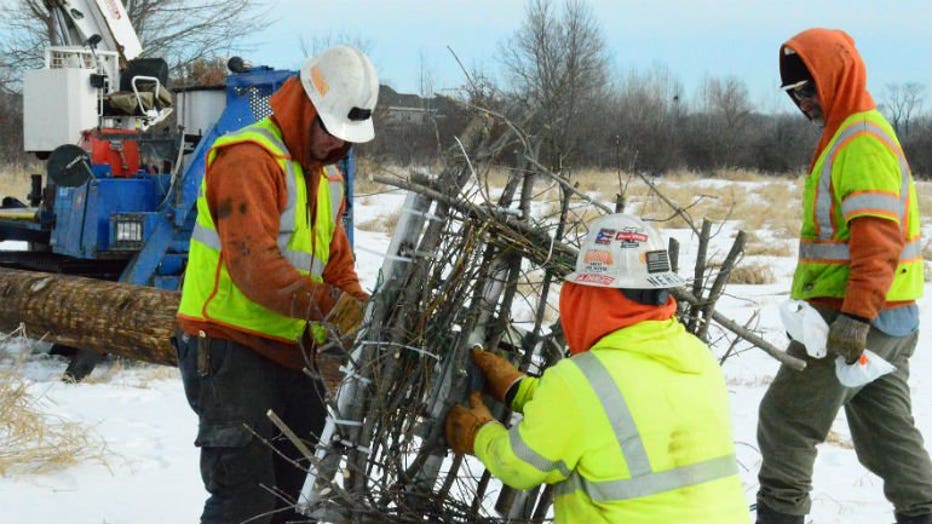 Waukesha County partners with We Energies to restore osprey habitat in Fox River Park
