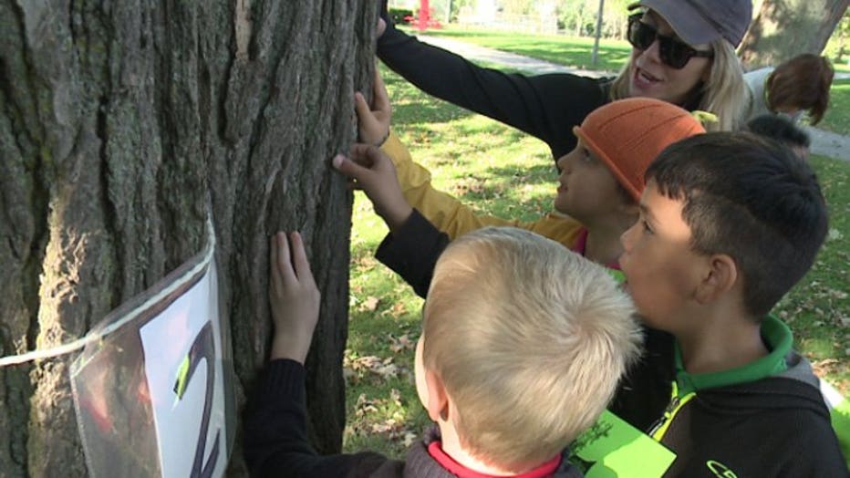 21st Annual Tree Day