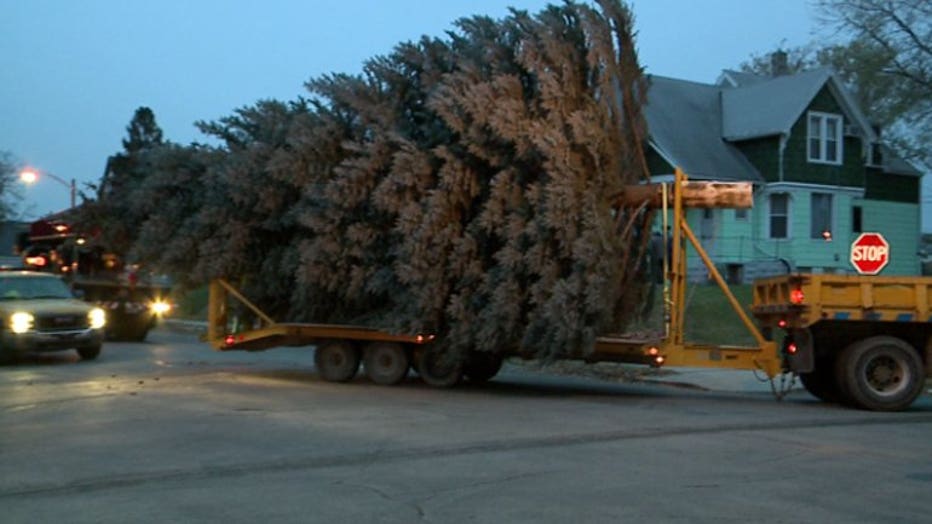 2017 City of Milwaukee Christmas Tree