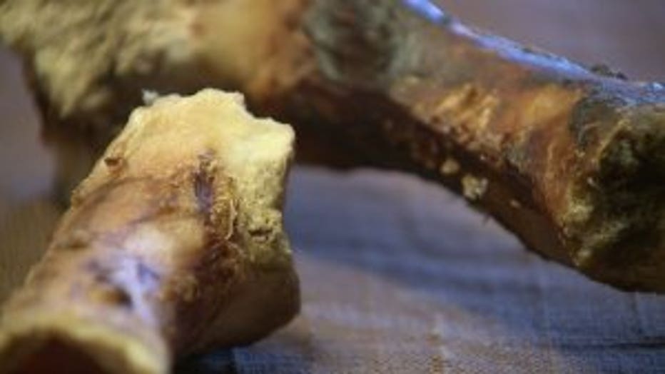 Dangerous dog bone Concerned pet owners warning about Real Ham Bone