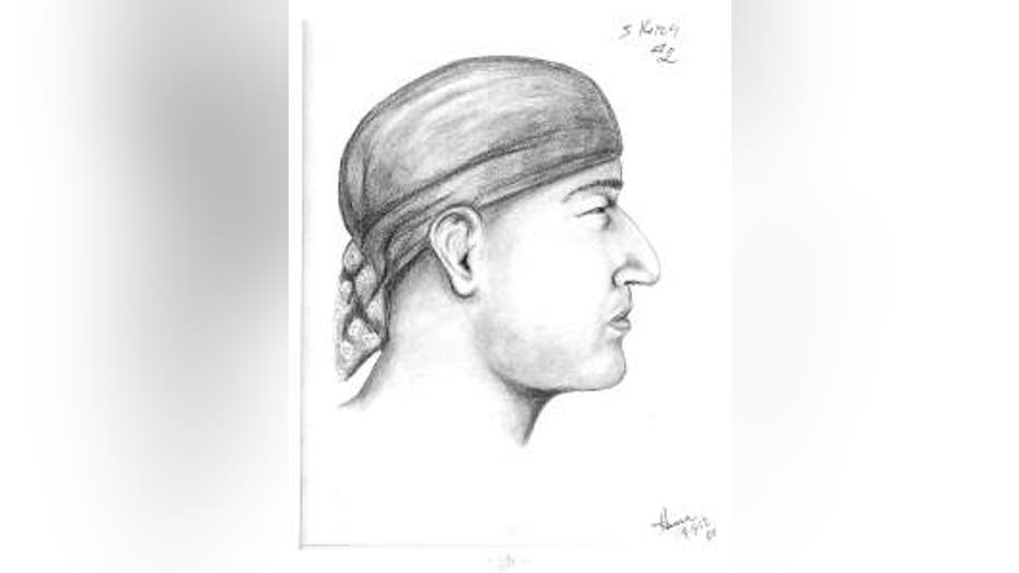 Dodge County Home Invasion sketch #2