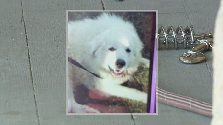 my great pyrenees