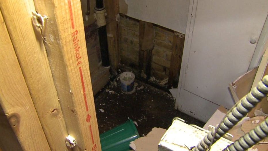 Basement Cleaning Milwaukee Openbasement - Basement Cleaning Milwaukee Basement Cleaning Milwaukee Openbasement - Basement Cleaning Milwaukee