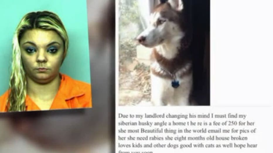 Virginia woman accused taking lost dog 