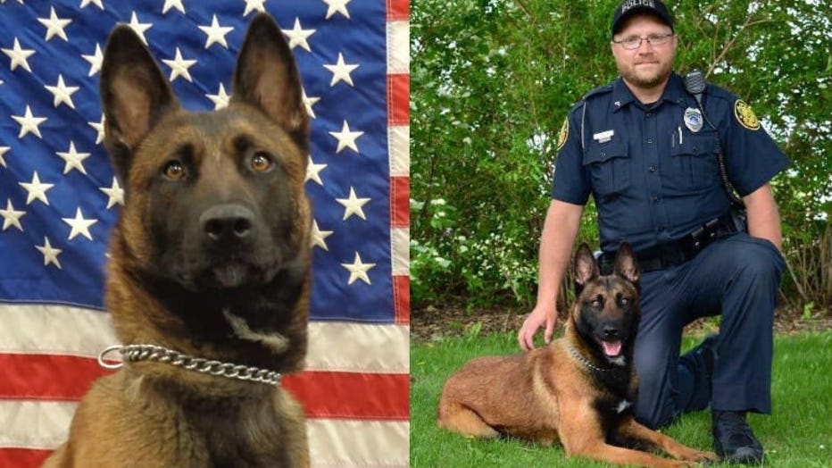 K-9 Luna with the Stevens Point Police Department