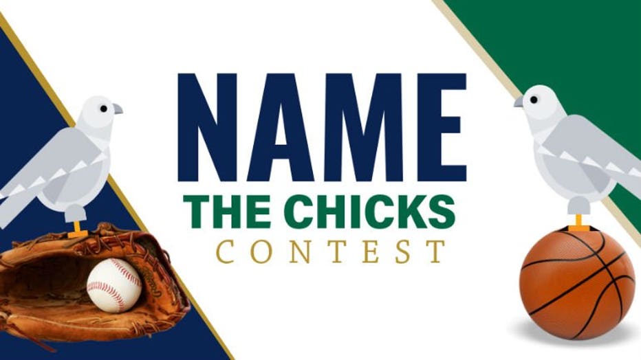 We Energies' name the chicks contest