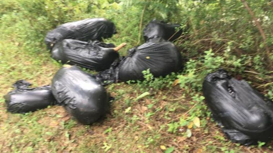 Seven pit bulls, including a 3-month-old puppy, were found dumped in trash bags at a sump on Long Island. (Nassau County SPCA)