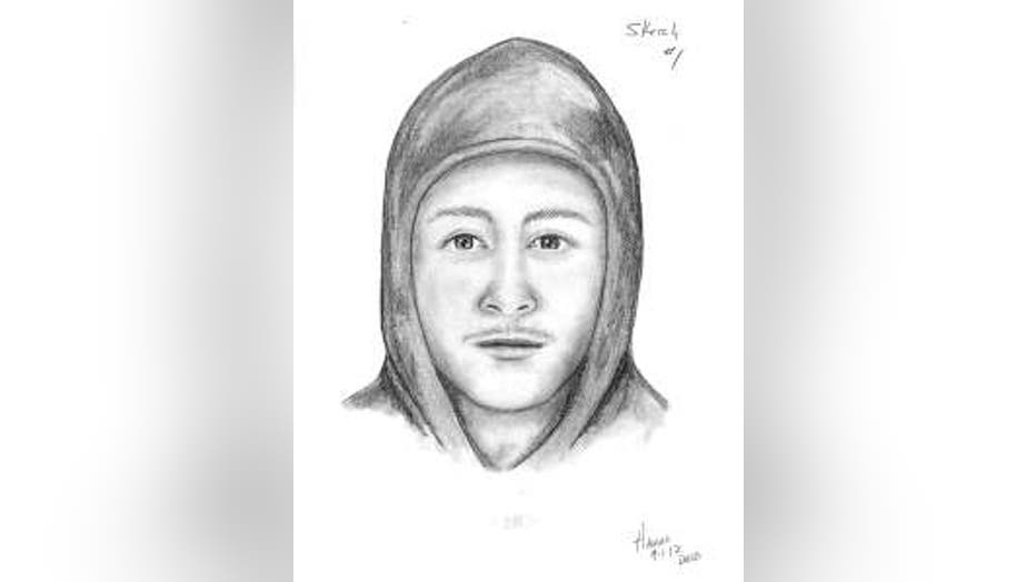 Dodge County home invasion sketch #1