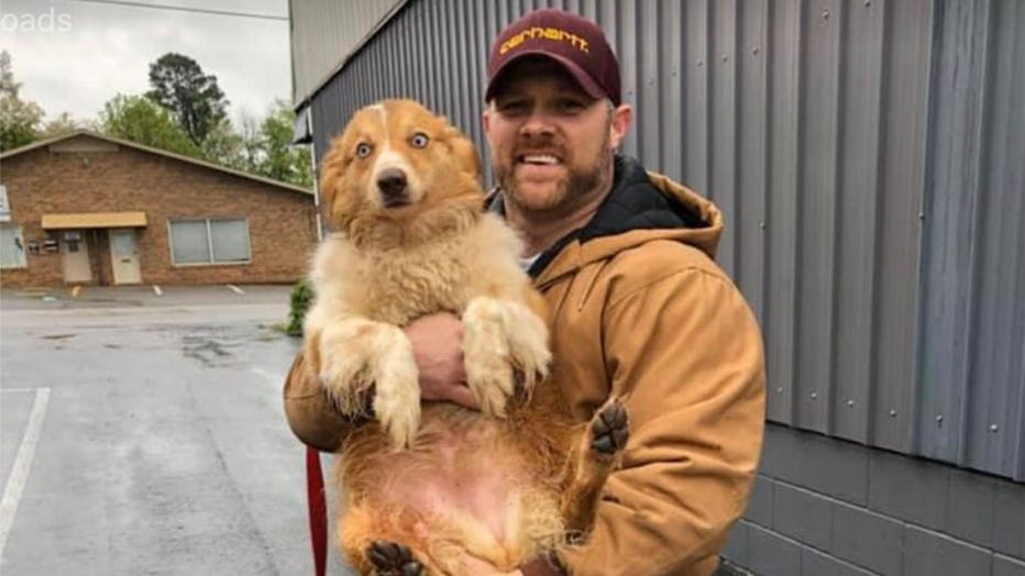 In this image taken Sunday, Bella, an Australian shepherd, is held by her owner Eric Johnson in Cookeville, Tenn. The dog was found Sunday after being missing for 54 days following a tornado that ravaged Putnam County and flattened the Johnson’s family home in early March. (Eric Johnson/Facebook)