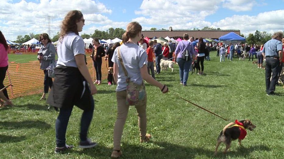 Elmbrook Humane Society's Wagfest