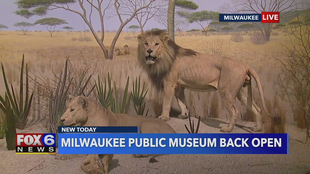 Milwaukee Public Museum is officially re-opening to the ...