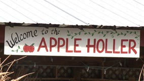 Apple picking at Apple Holler offers 'the ultimate opportunity' to practice social distancing