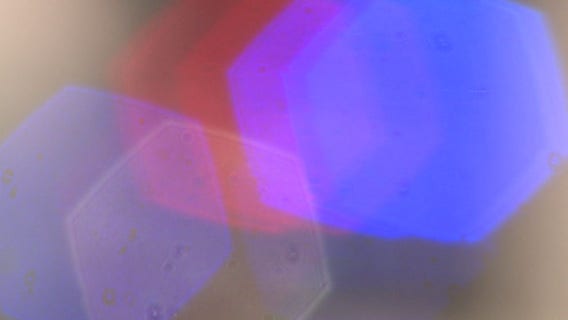 Lake Geneva man dies after fall on rocky shore of Wisconsin River