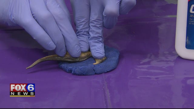 Is your kid is obsessed with dinosaurs? Explore paleontology using playdoh and a little school glue