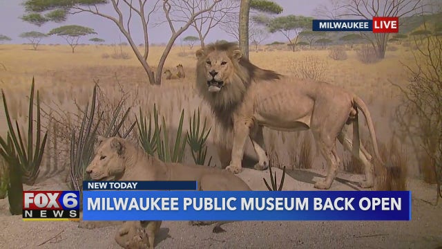 Milwaukee Public Museum is officially re-opening to the public, digital resources available