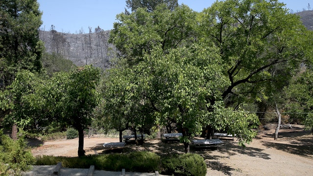 Wildfires again threaten business in California wine country