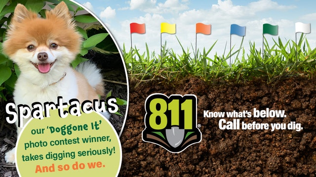 Call before you dig: Meet Spartacus, the 6-year-old Pomeranian named We Energies' 'ambassadog'