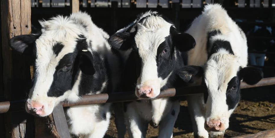 Former Waukesha dairy company ordered to pay wages, benefits