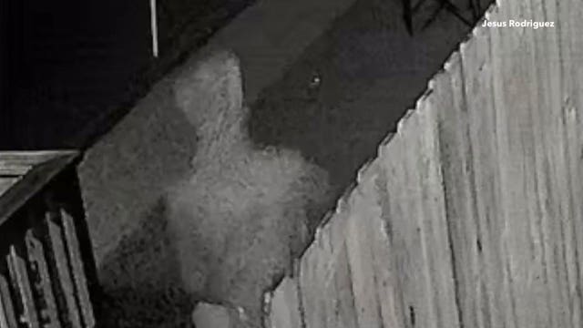 Arrest made after purse, wallet, car stolen from Bay View home