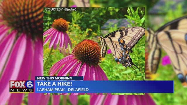 Take a hike: This walking path may lead to butterflies, turkeys and more