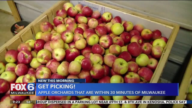 Apple picking guide for 2020: Get out and enjoy the outdoors