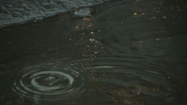 Advocates stress suicide prevention resources, honesty: 'You are not alone'