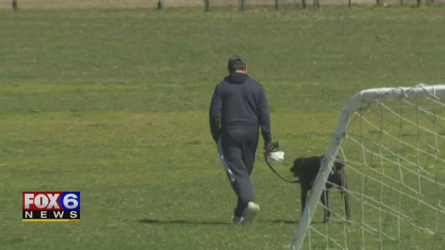 Some ways to reduce your pet's anxiety