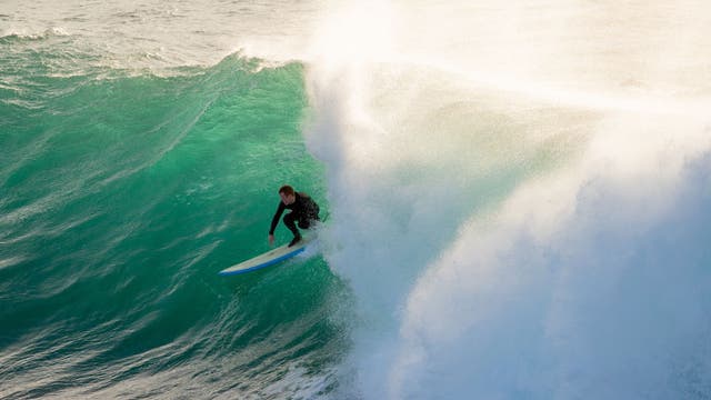 Shark kills surfer on Australia's Gold Coast tourist strip