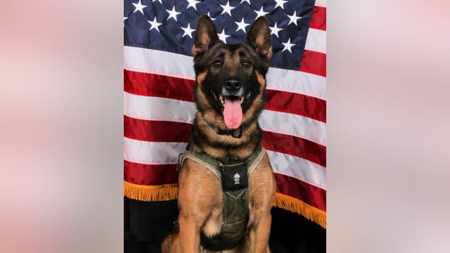 Gwinnett K-9 officer killed in the line of duty to be laid to rest